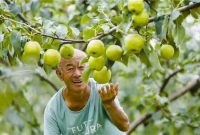 Photo shows a joyful farmer looking at a Yulu fragrant pear in Xi County of Shanxi Province, north China.