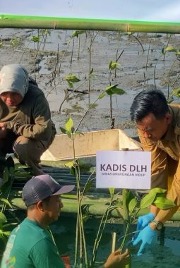 Besok, Pemkot Makassar Kerja Bakti Serentak Peringati Hari Lingkungan Hidup Sedunia