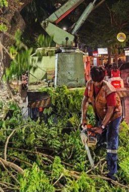 Beri Kenyamanan Pelari MHM 2026, DLH Makassar Pangkas Pohon untuk Penerangan Lintasan