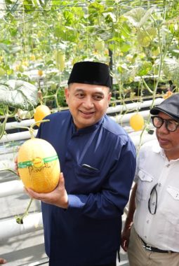 Wali Kota Appi Panen Melon di Bukit Baruga, Urban Farming Masjid Bin Baz Bakal Jadi Percontohan