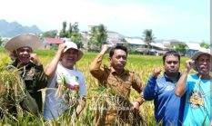 Dari 4S ke 5S, Sidrap Bertransformasi Jadi Daerah Percontohan Perekonomian di Indonesia